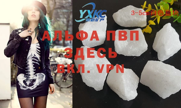 крисы Алексин