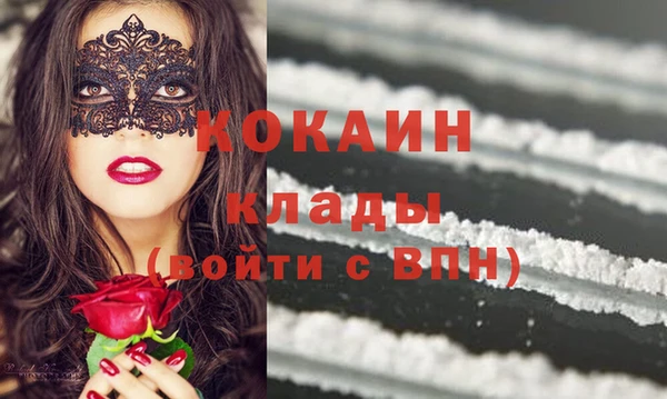 амф Пестово
