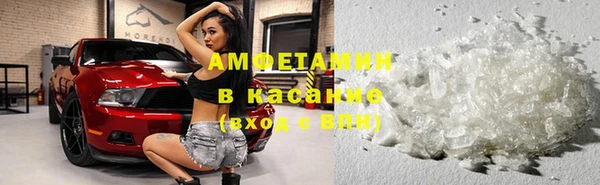 крисы Алексин