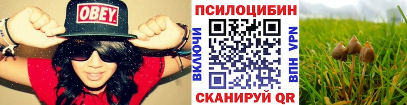 omg ссылки Нефтекумск Галлюциногенные грибы ЛСД купить закладку